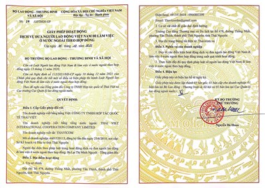 CÔNG TY TNHH HỢP TÁC QUỐC TẾ THÁI VIỆT